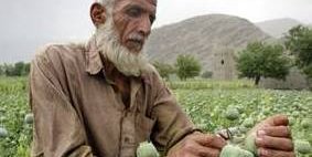 چالش جهانی مواد مخدر و چند پیشنهاد