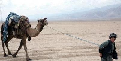 سفر طولانی/ اوږد سفر