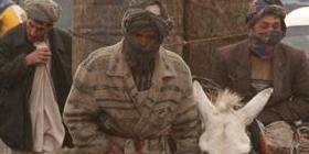 هرات: يو روز بارانی