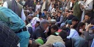 جزيئات فاجعهء جلريز