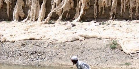 جنگ های سی ساله در افغانستان، پشم و قالی