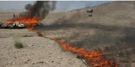 200 تُن چرس در قلمرو پادشاه