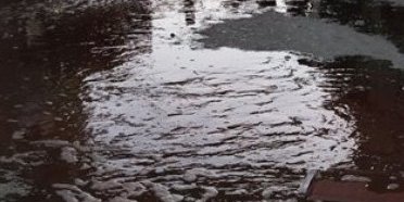 همدستی آشکار و پنهان کرزی با طالبان بر اساس منافع قومی قبیله ای