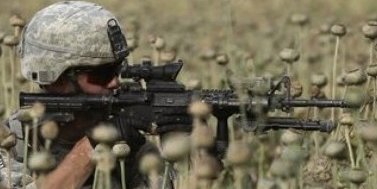 تا زمان برداشت تریاک، عملیاتی در قندهار صورت نمی گیرد!