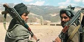 طالبان: زنا بيشتر از جهاد!