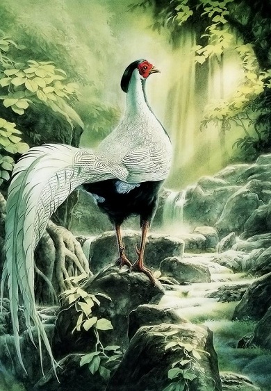 local/cache-vignettes/L390xH563/hASK1-0e14b1ae-72228.jpg?1769355623