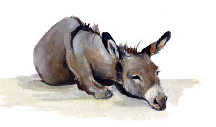 2baba1df3f8fa6961f699cfa461d7015