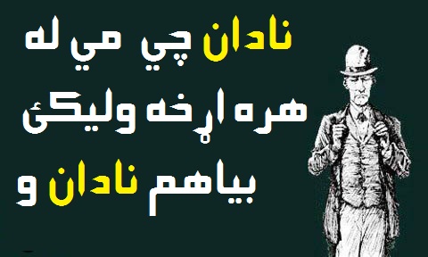 local/cache-vignettes/L480xH288/D986D8A7D8AFD8A7-f6ea0ed4-72768.jpg?1769368916