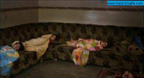 local/cache-vignettes/L486xH264/0-57351400132240-7921a1f1-97bd9.jpg?1769345645