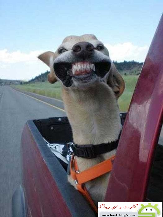 local/cache-vignettes/L525xH700/D8AF-D8A7D988D98-3b88ac7b-c4252.jpg?1769351256