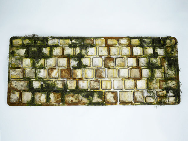 local/cache-vignettes/L640xH480/D8B3D984-DAA9D98-01fc626c-33675.jpg?1769369252