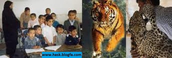 local/cache-vignettes/L672xH228/D987D8B3DAA9-D98-31d1cd1a-0d03d.jpg?1769368854