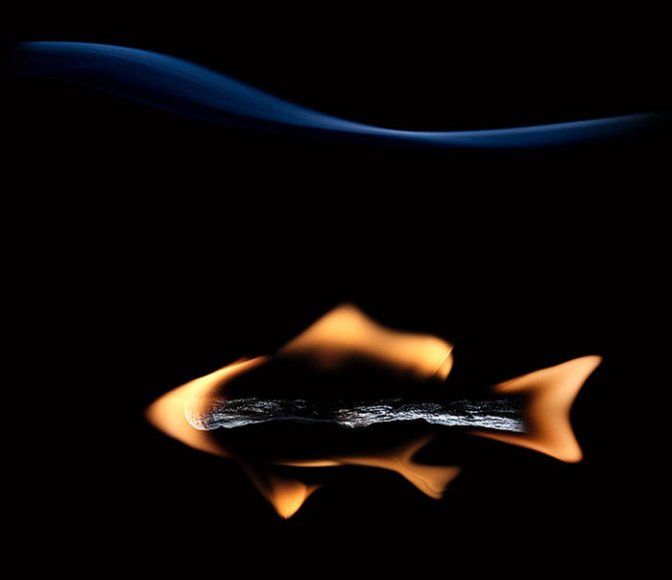 local/cache-vignettes/L672xH580/D8A7D988D8B1D984-9cbb8ebd-a99cf.jpg?1769369224