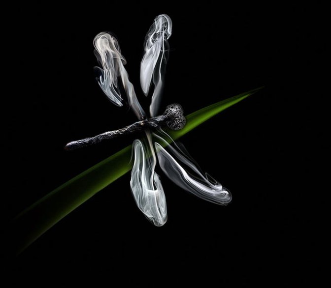 local/cache-vignettes/L672xH586/D8A7D988D8B1D984-0d22258a-b7e2e.jpg?1769369224